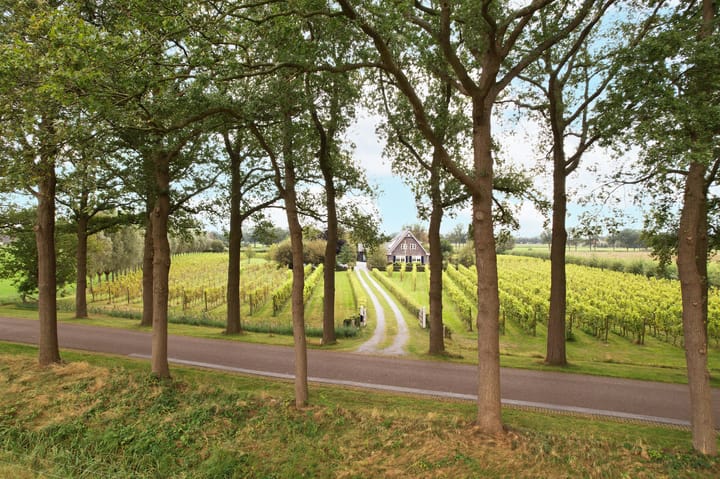 Foto 44 van Gravenstraat 27