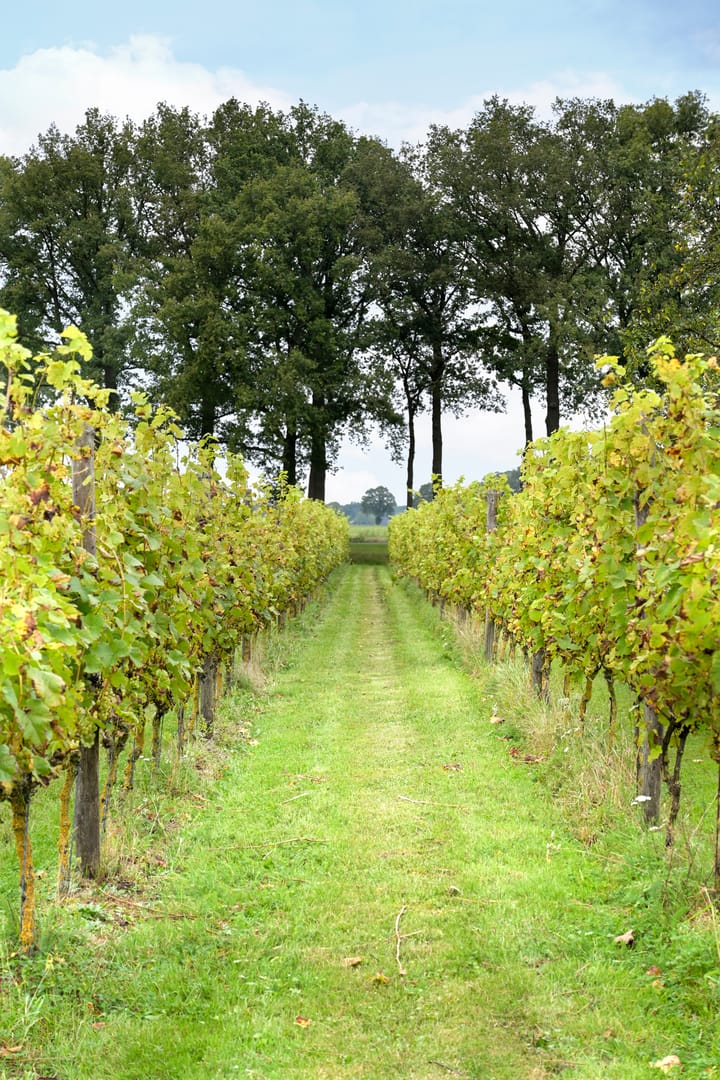 Foto 45 van Gravenstraat 27