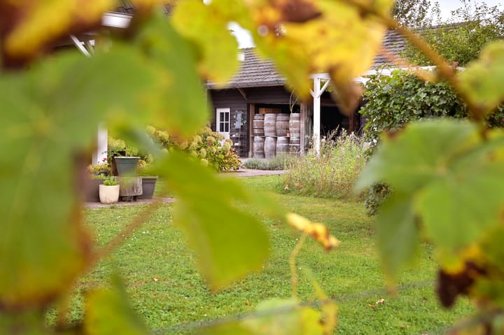 Foto 47 van Gravenstraat 27