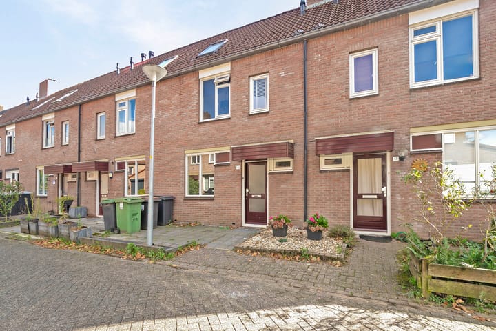 undefined main image