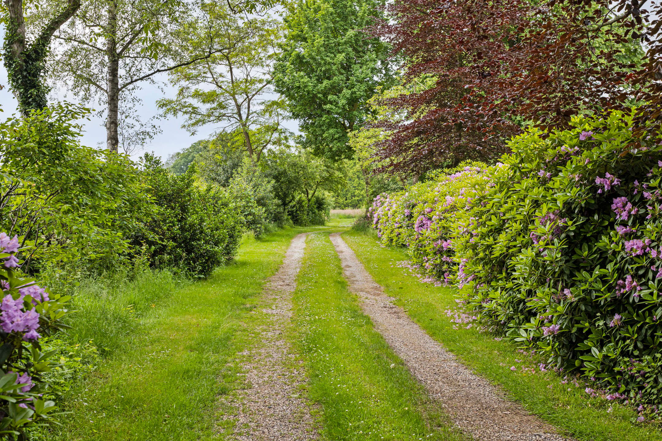 Photo 3 of Lindeseweg 8