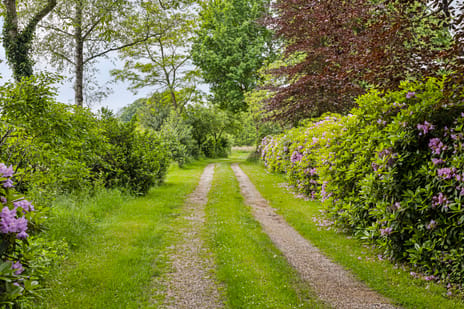 Lindeseweg 8 tertiary image