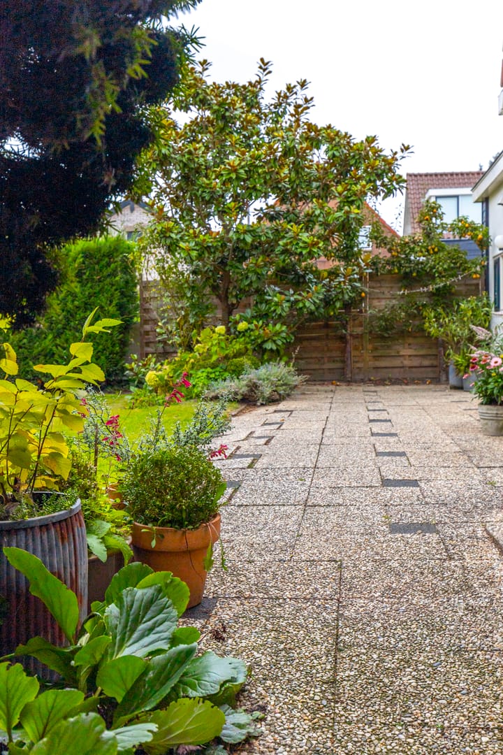 Foto 48 van Waal 6-B