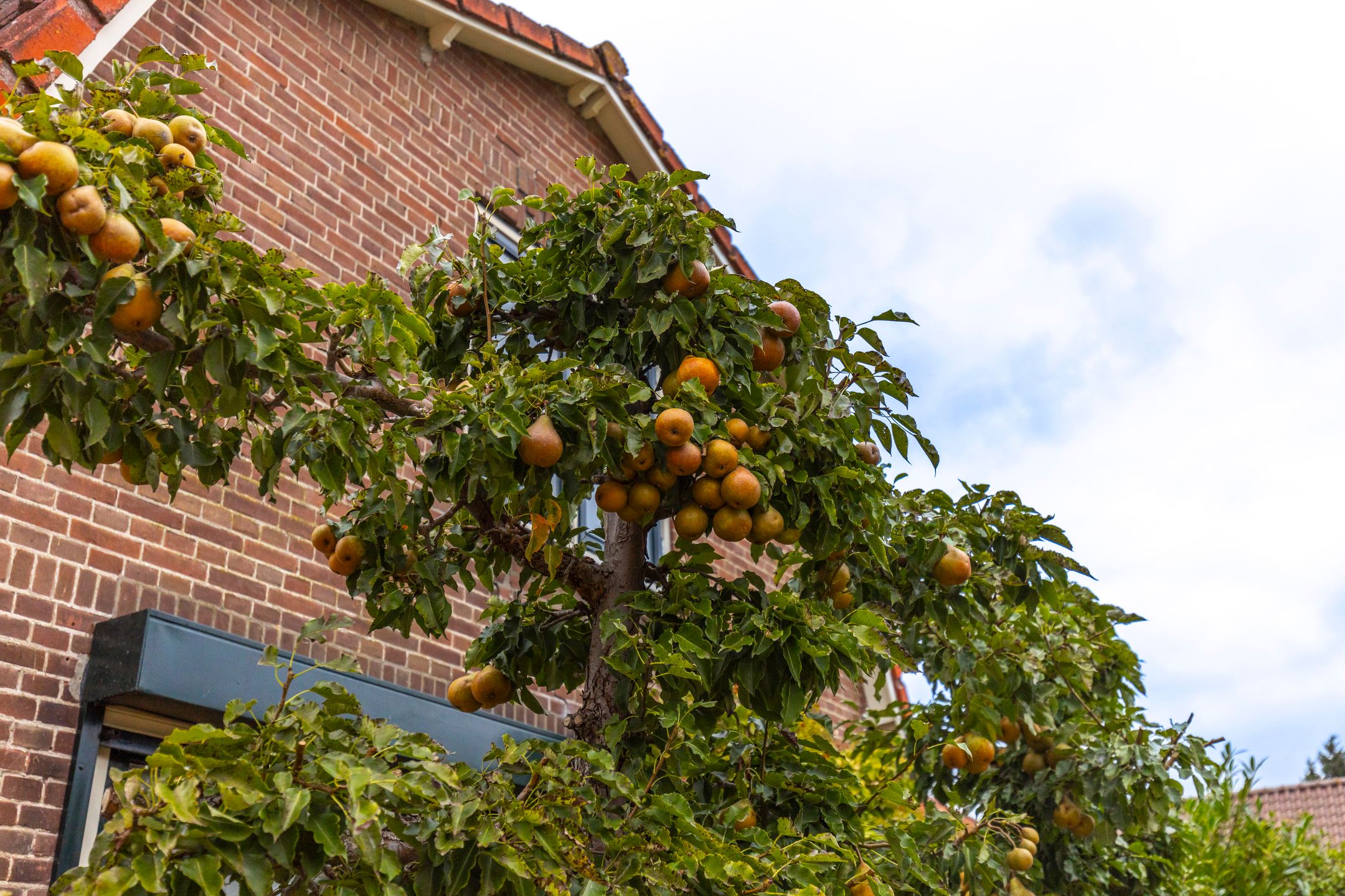 Foto 57 van Waal 6-B