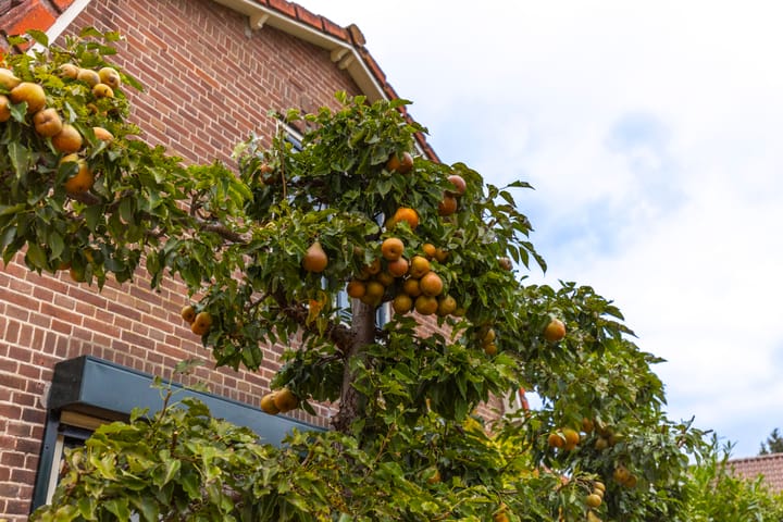 Foto 57 van Waal 6-B