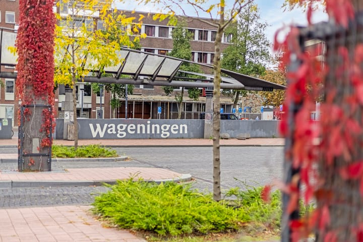 Foto 39 van Bergstraat 56