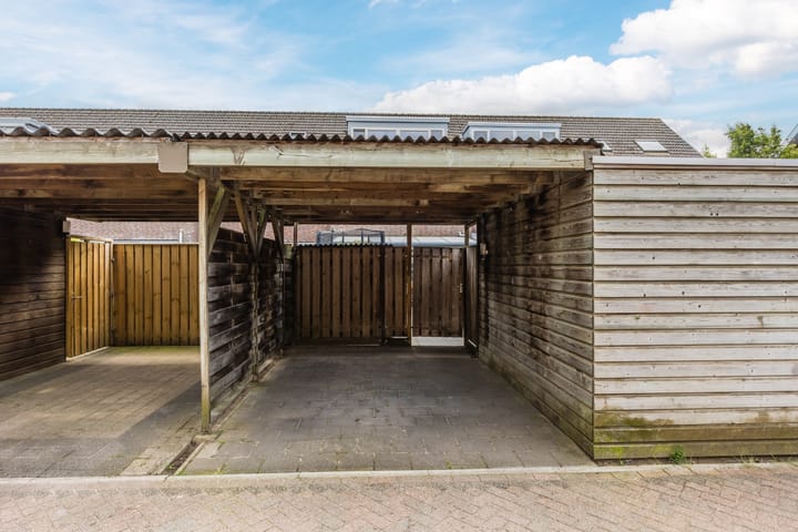 Foto 5 van Marjolein 38