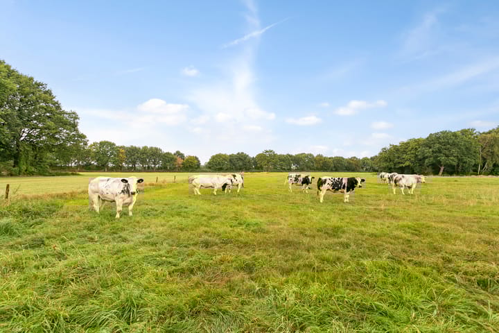 Foto 53 van Heisteeg 5