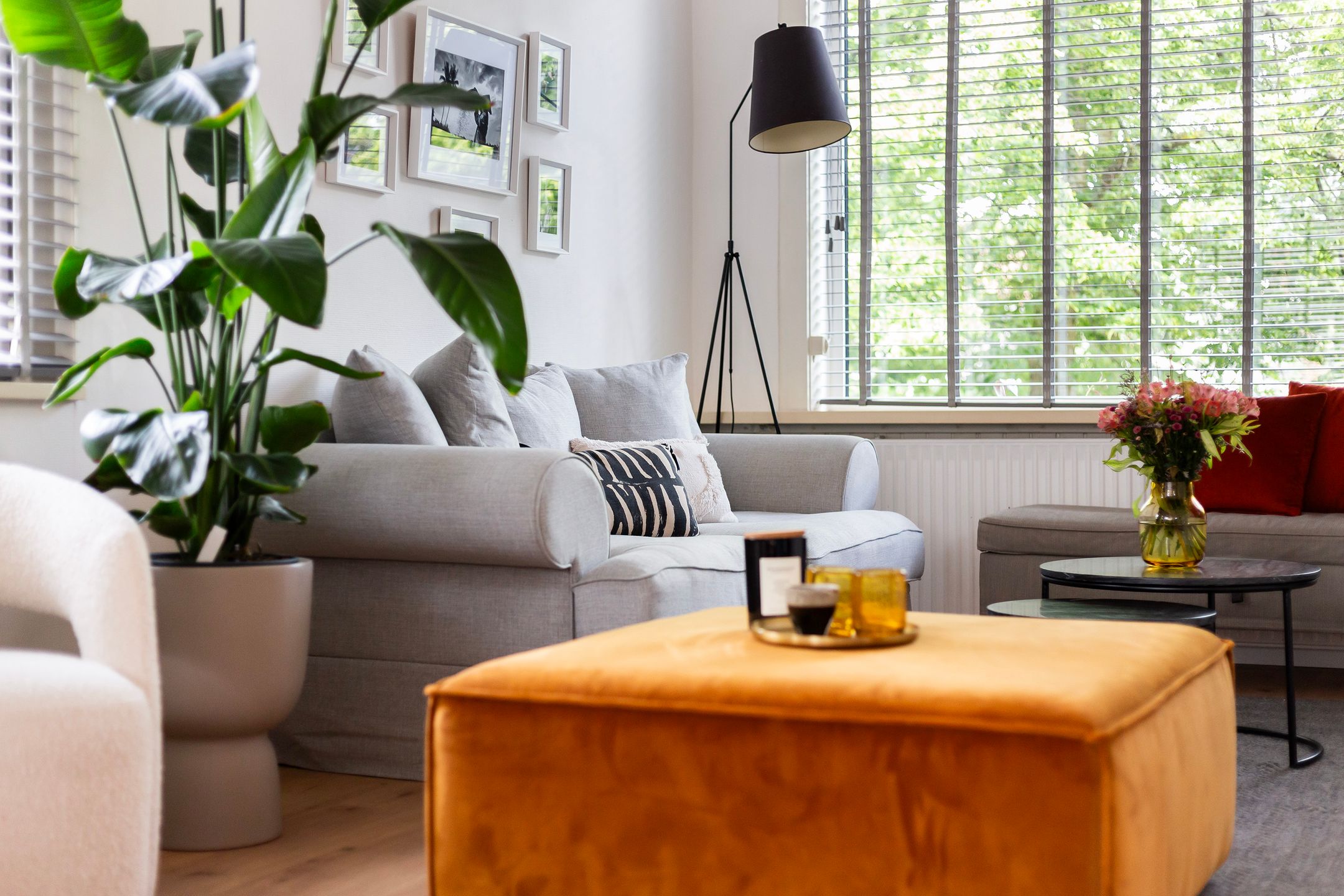 Photo 6 of Adriaen van der Doeslaan 35-B