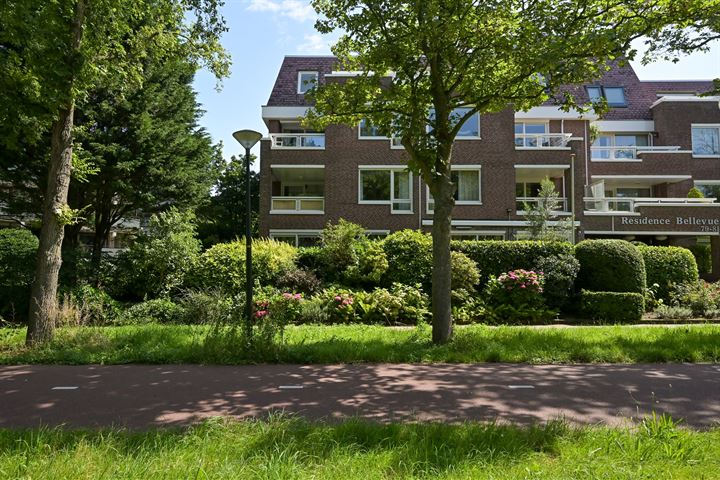 View photo 38 of Nieuwe Parklaan 79-E