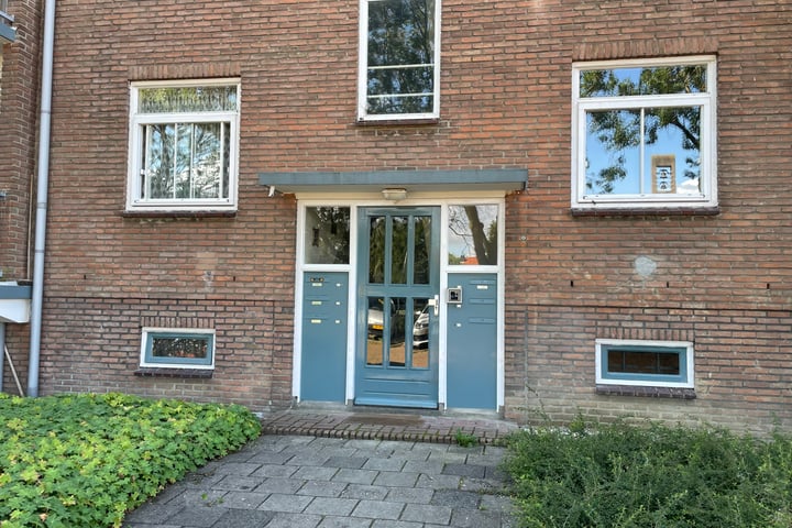 Bekijk foto 3 van Paulus Potterstraat 17