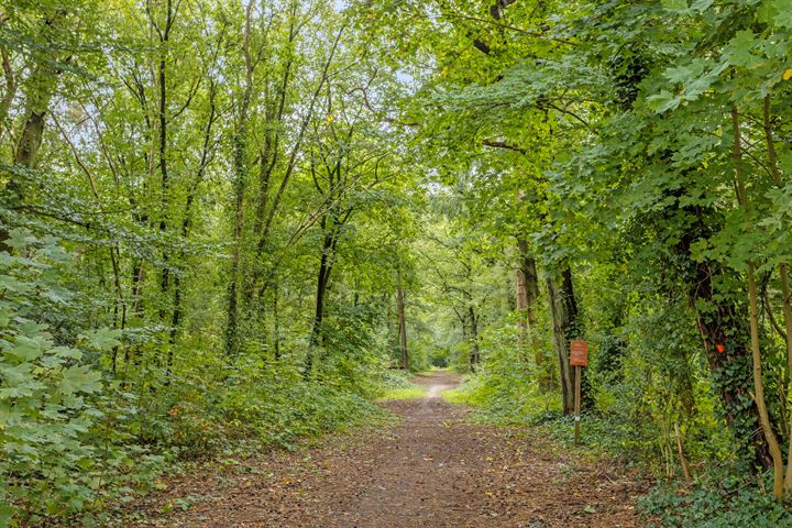 Bekijk foto 38 van Hagedoorn 15