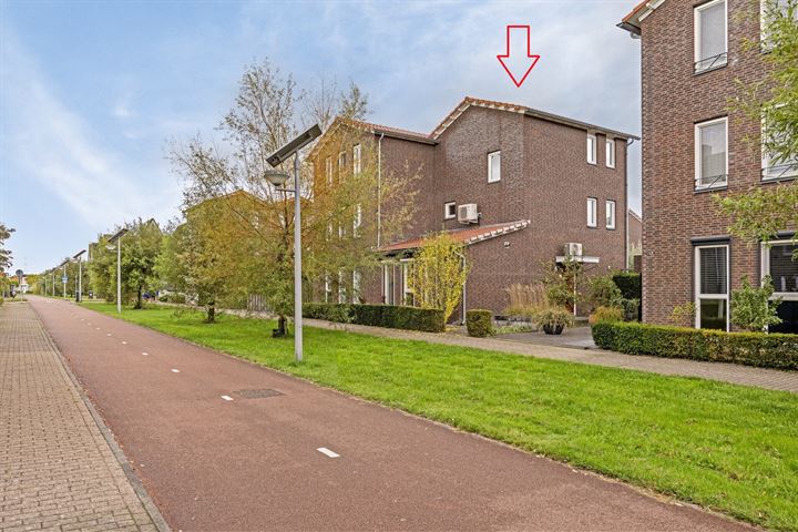 Poelruitstraat 4