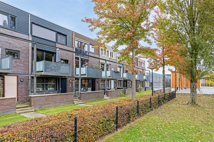 Bekijk foto 45 van Brandts Buyspark 29