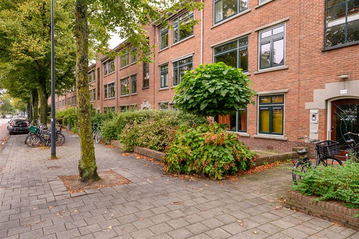 Bekijk foto 3 van Burggravenlaan 31