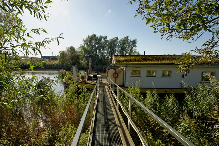Maasdijk 1 C