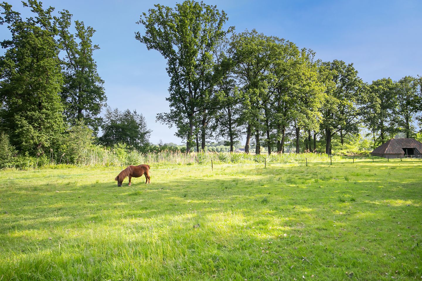 Foto 35 van Rector Nuijtsstraat 11