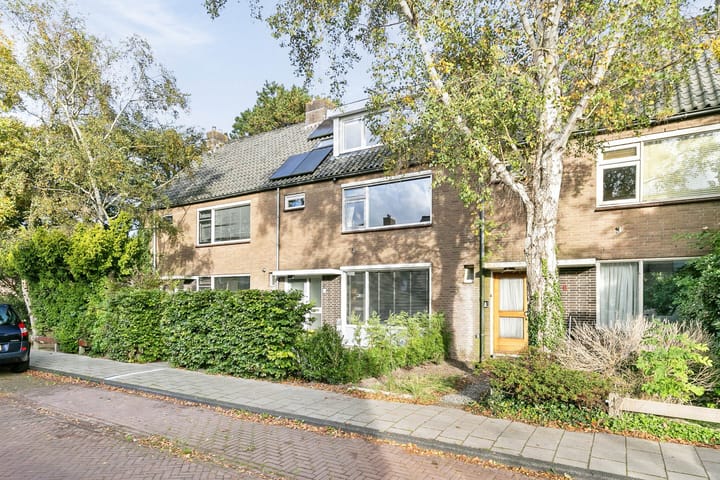 Foto 8 van Reggelaan 8