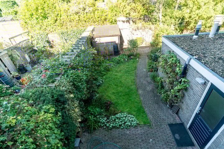 Foto 3 van Haantje 2