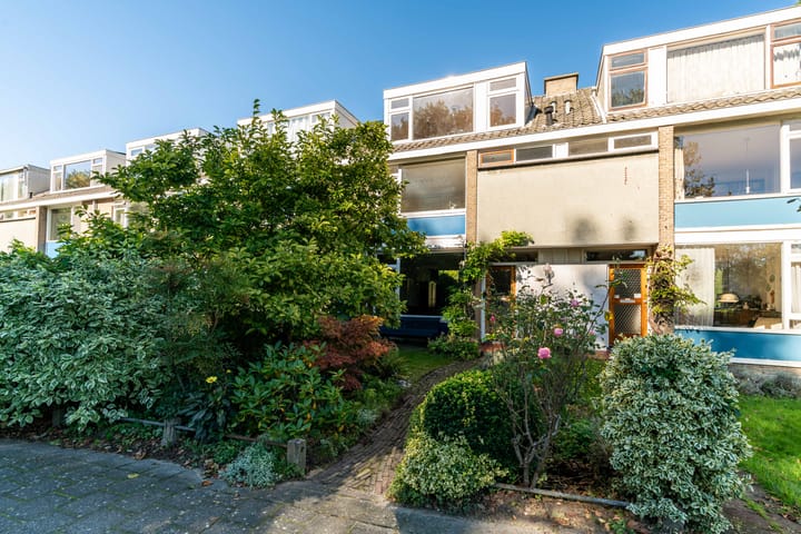 Foto 5 van Haantje 2