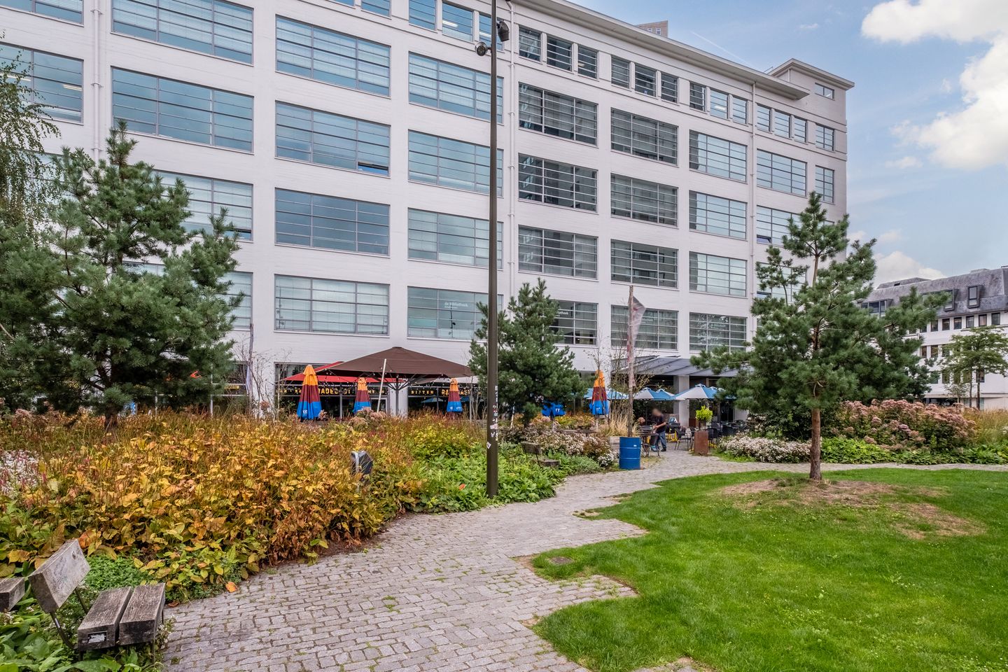 Photo 8 of De Jonkheer