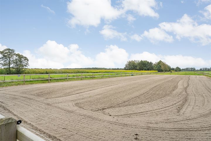 Bekijk foto 32 van Van den Beltsweg 2