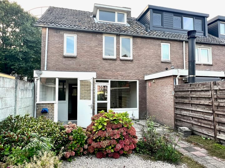 Foto 3 van Jan van der Heijdenstraat 199-C