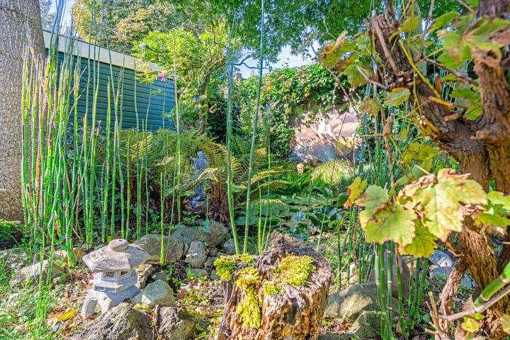 Foto 37 van Epemawei 25