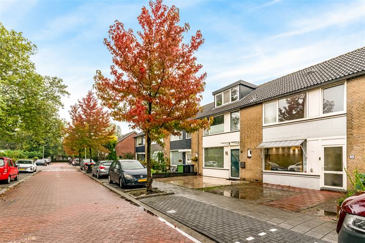 Bekijk foto 46 van Brikstraat 36