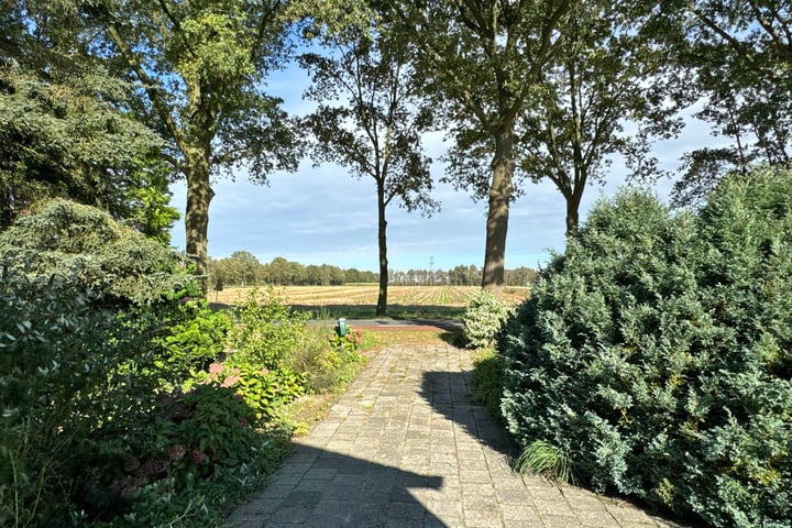 Bekijk foto 21 van Steigerwijk 82