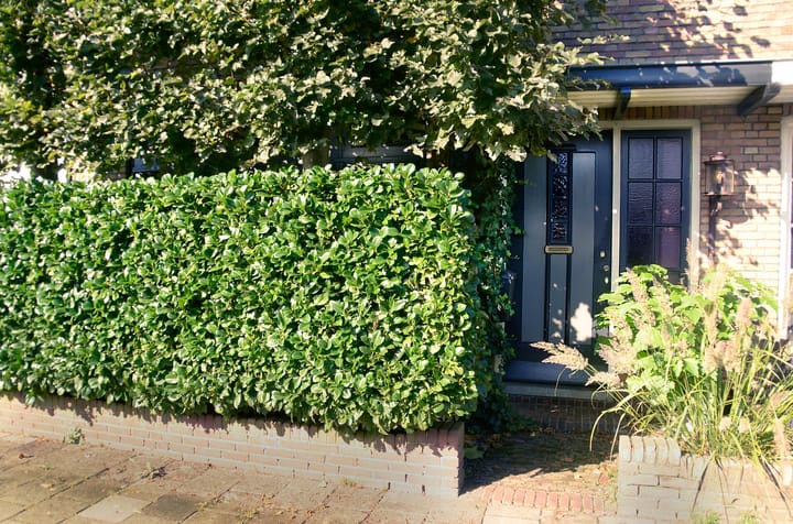 Foto 2 van Waldeck Pyrmontlaan 14