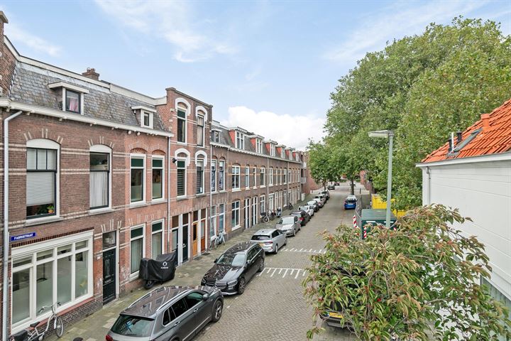 Bekijk foto 2 van Fabristraat 59-B