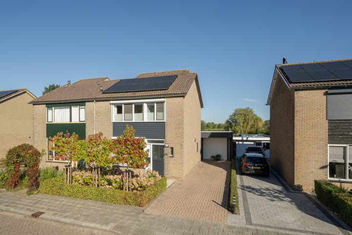 undefined main image