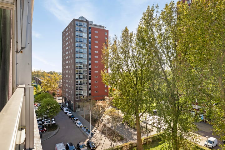 Foto 13 van Plein 1953 137