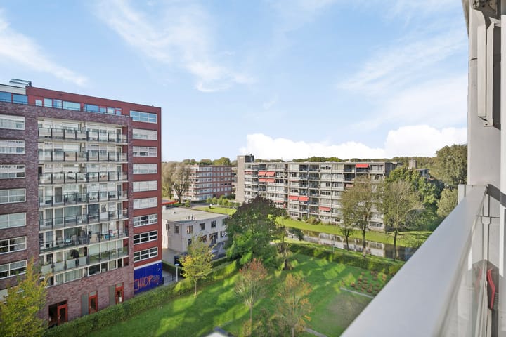 Foto 14 van Plein 1953 137