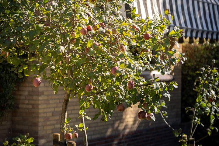 Bekijk foto 51 van Prinses Marijkestraat 13