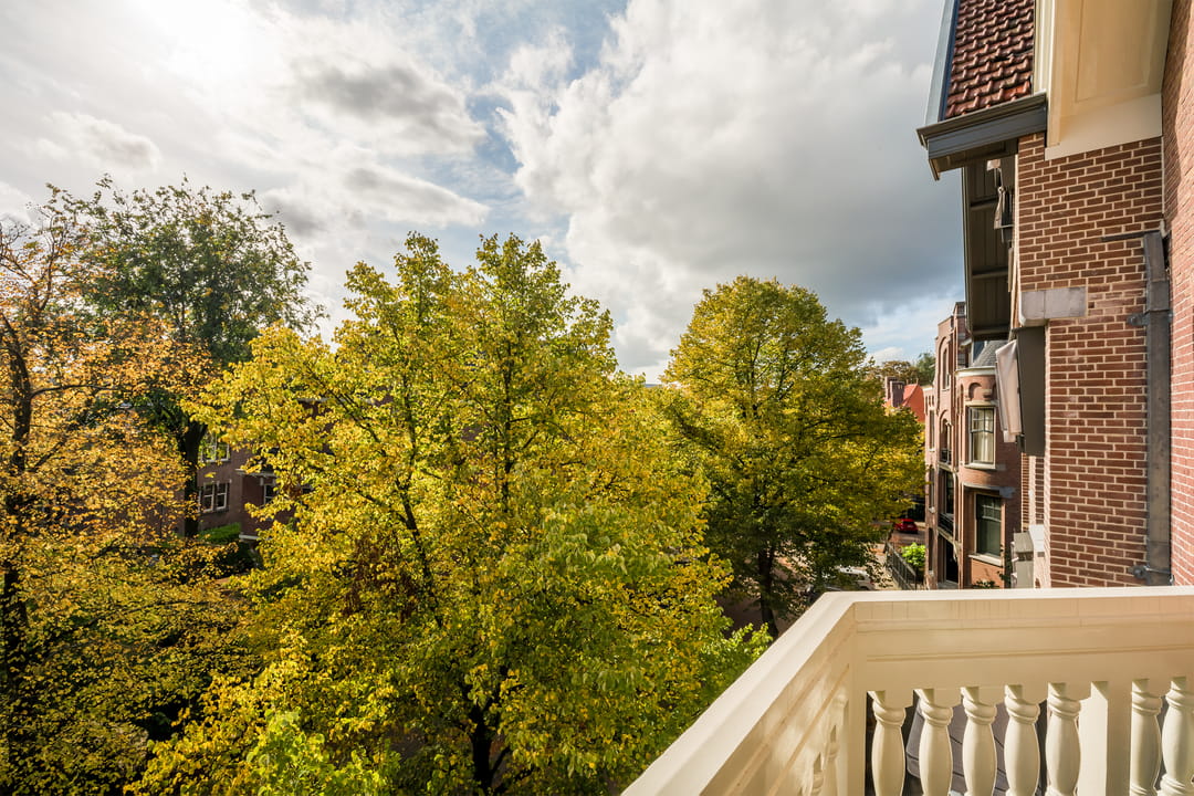 Foto 8 van Koningslaan 46-D