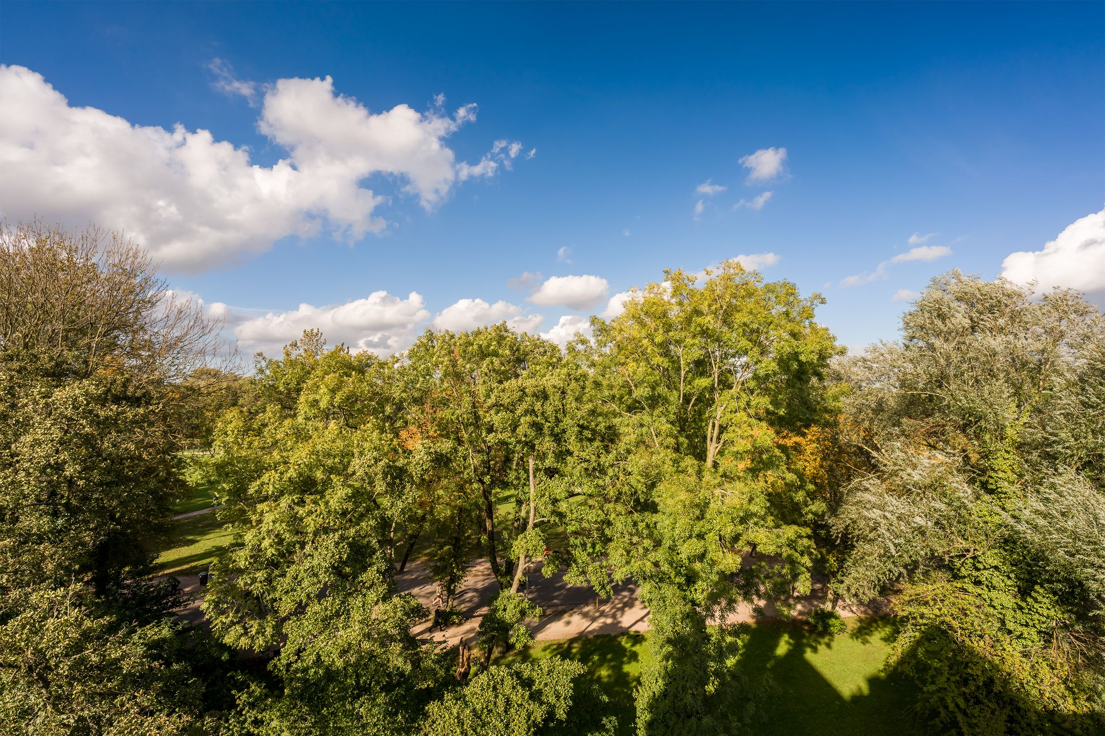 Foto 24 van Koningslaan 46-D