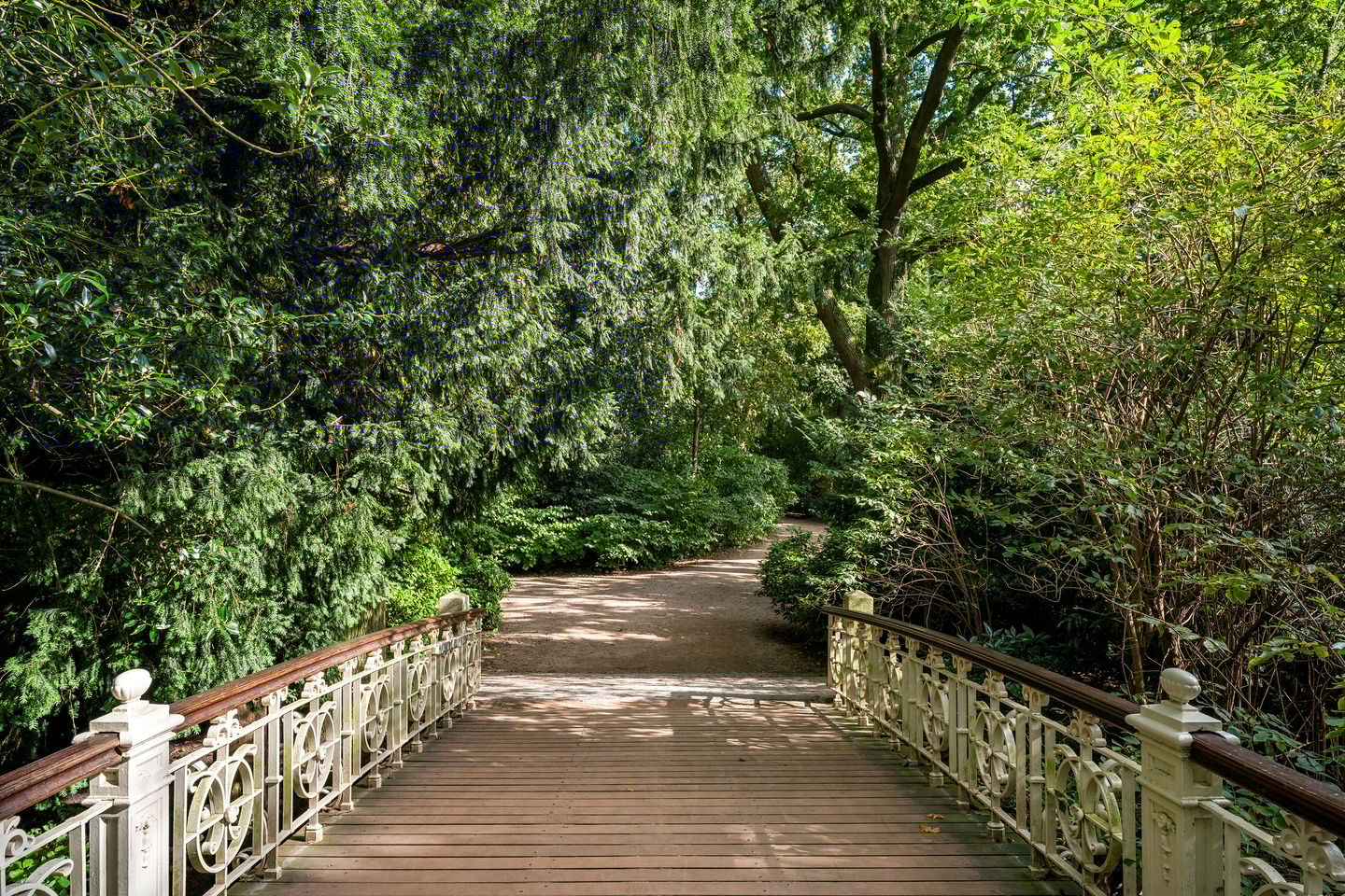 Foto 44 van Koningslaan 46-D