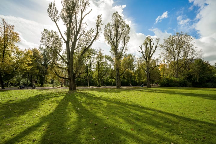 Photo 46 of Koningslaan 46-D