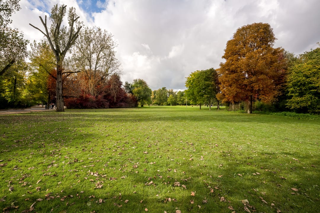 Foto 47 van Koningslaan 46-D