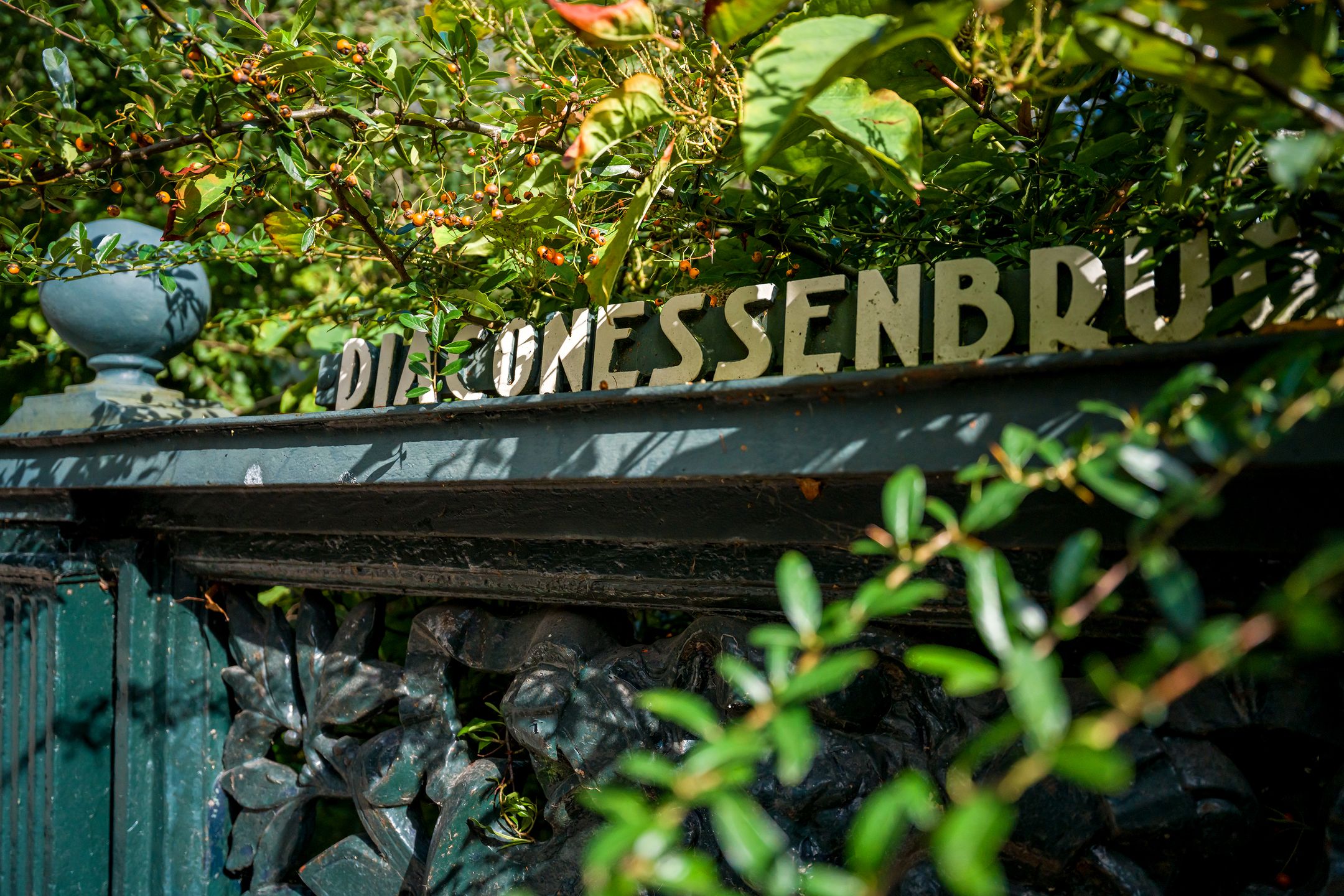 Foto 48 van Koningslaan 46-D