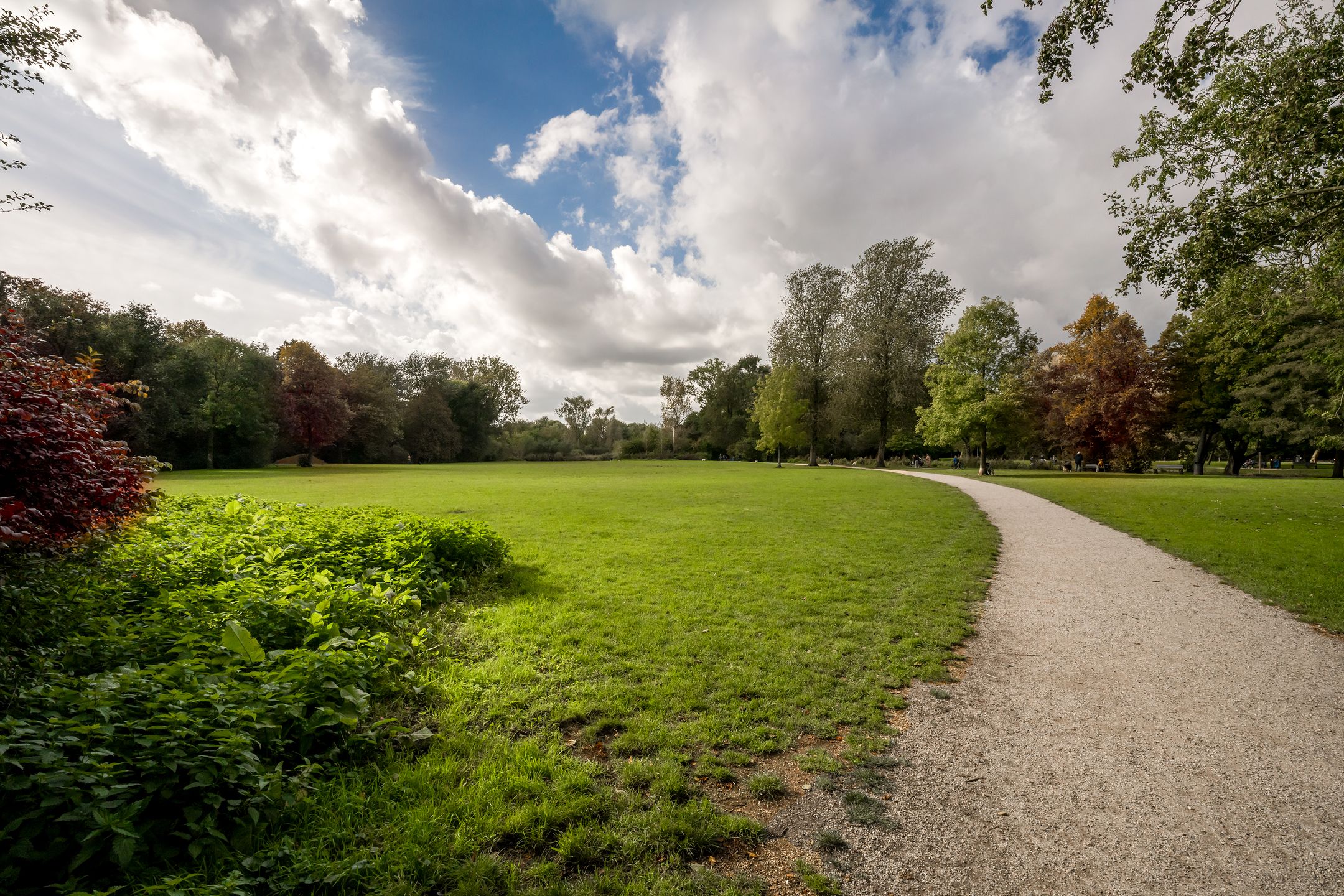 Foto 45 van Koningslaan 46-D