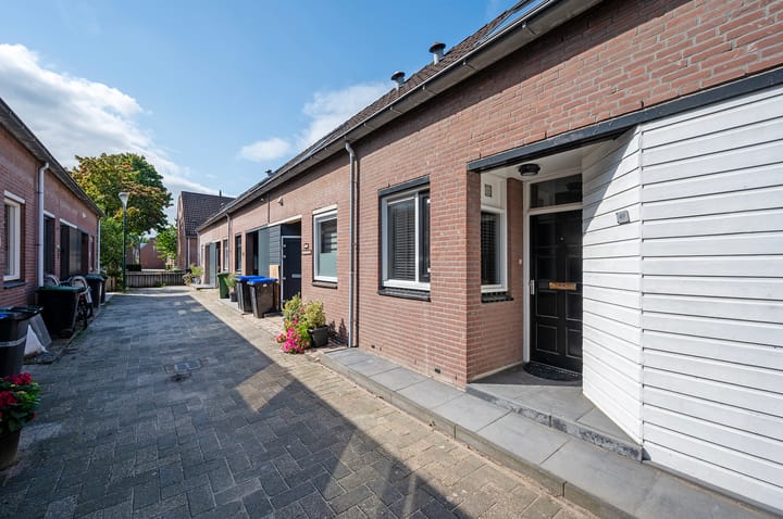 Foto 2 van Kamelenspoor 419