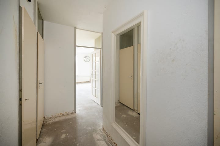 Foto 5 van Kamelenspoor 419