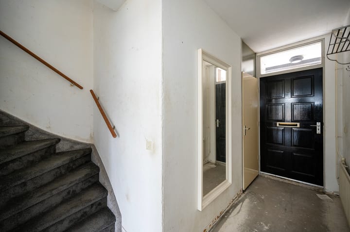 Foto 3 van Kamelenspoor 419