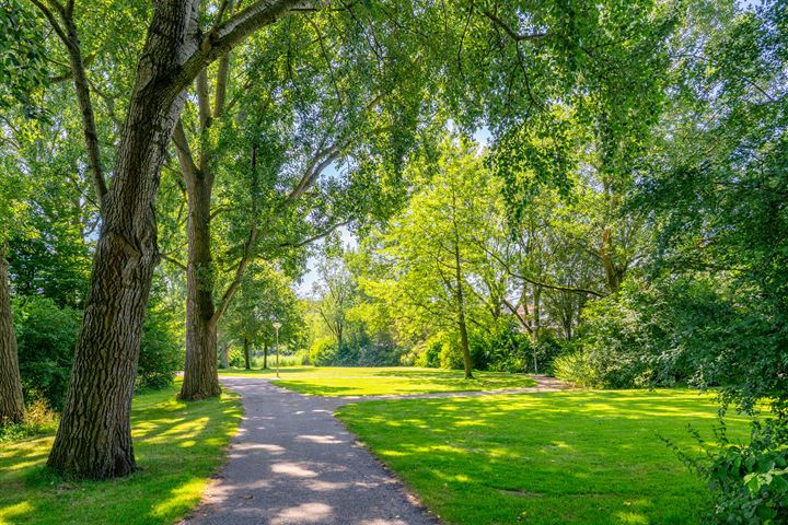 Bekijk foto 42 van Oostelijk Halfrond 95