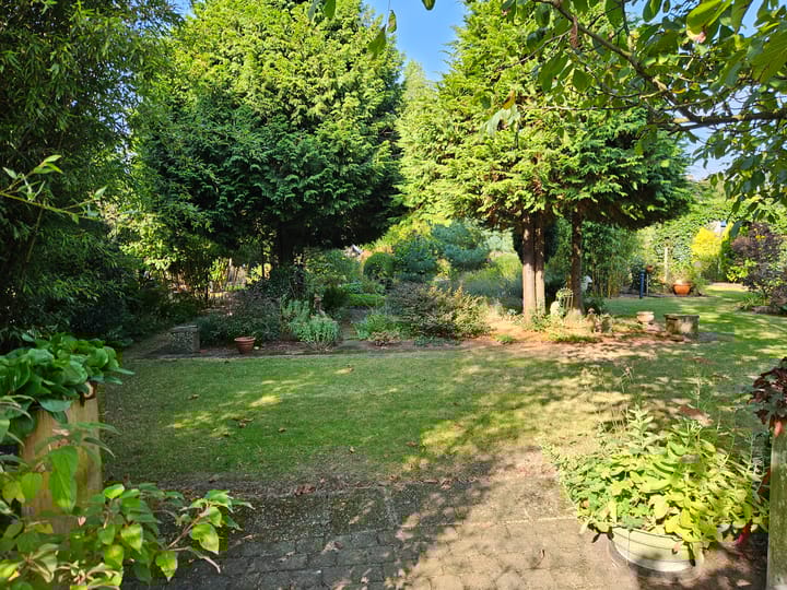 Foto 50 van Hoogstraat 36