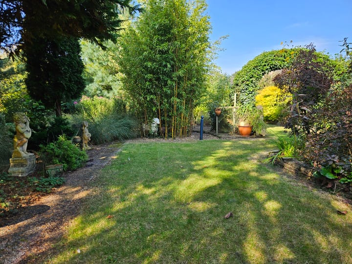 Foto 53 van Hoogstraat 36