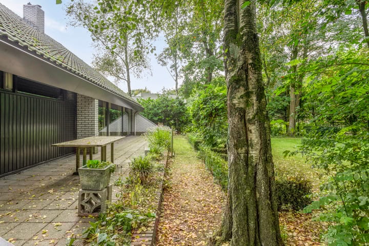 Foto 46 van Chopinlaan 25